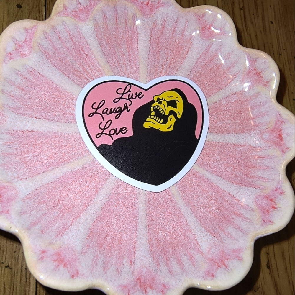 5/$10 heart goth pink skeletor he-man funny vinyl sticker bumper water bottle la